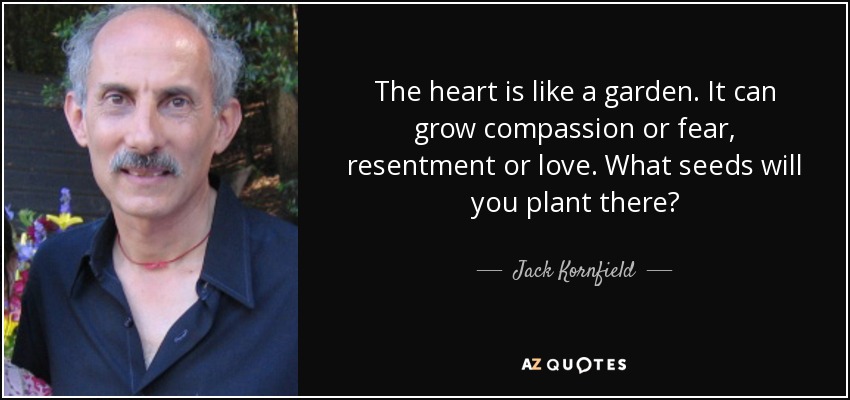 The heart is like a garden. It can grow compassion or fear, resentment or love. What seeds will you plant there? - Jack Kornfield