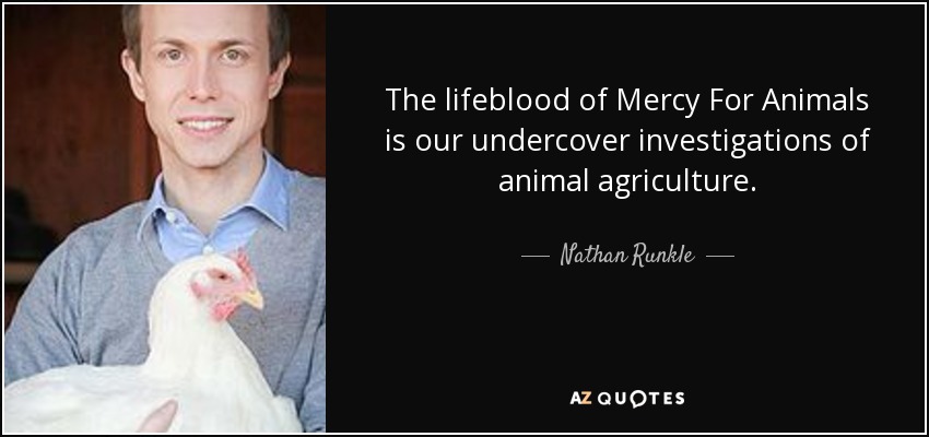 The lifeblood of Mercy For Animals is our undercover investigations of animal agriculture. - Nathan Runkle