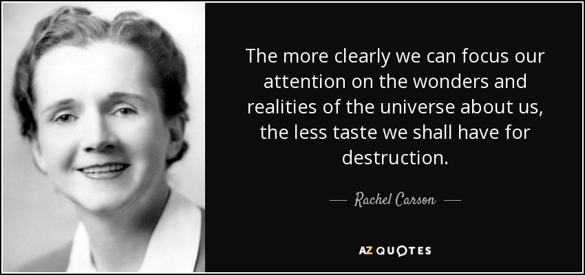 The more clearly we can focus our attention on the wonders and realities of the universe about us, the less taste we shall have for destruction. - Rachel Carson