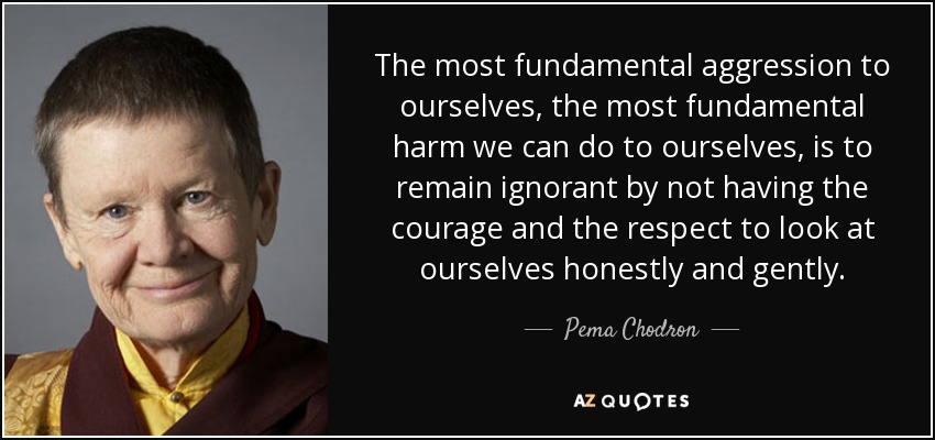 The most fundamental aggression to ourselves, the most fundamental harm we can do to ourselves, is to remain ignorant by not having the courage and the respect to look at ourselves honestly and gently. - Pema Chodron