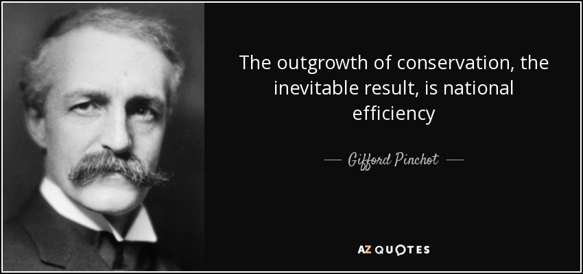 The outgrowth of conservation, the inevitable result, is national efficiency - Gifford Pinchot