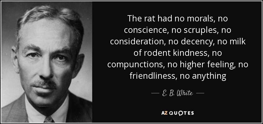 The rat had no morals, no conscience, no scruples, no consideration, no decency, no milk of rodent kindness, no compunctions, no higher feeling, no friendliness, no anything - E. B. White
