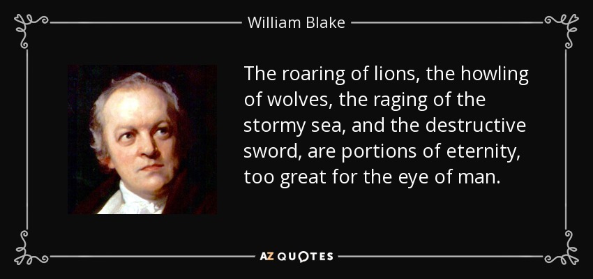 The roaring of lions, the howling of wolves, the raging of the stormy sea, and the destructive sword, are portions of eternity, too great for the eye of man. - William Blake