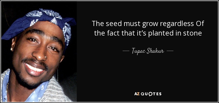 The seed must grow regardless Of the fact that it’s planted in stone - Tupac Shakur