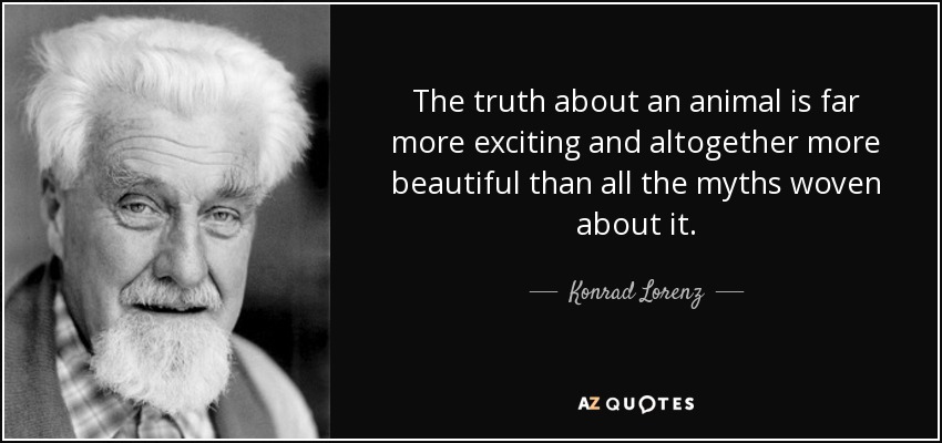 The truth about an animal is far more exciting and altogether more beautiful than all the myths woven about it. - Konrad Lorenz