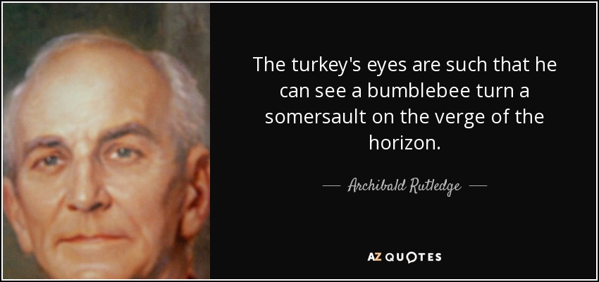 The turkey's eyes are such that he can see a bumblebee turn a somersault on the verge of the horizon. - Archibald Rutledge