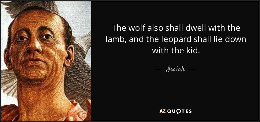 The wolf also shall dwell with the lamb, and the leopard shall lie down with the kid. - Isaiah