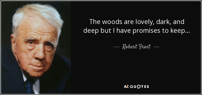 The woods are lovely, dark, and deep but I have promises to keep... - Robert Frost
