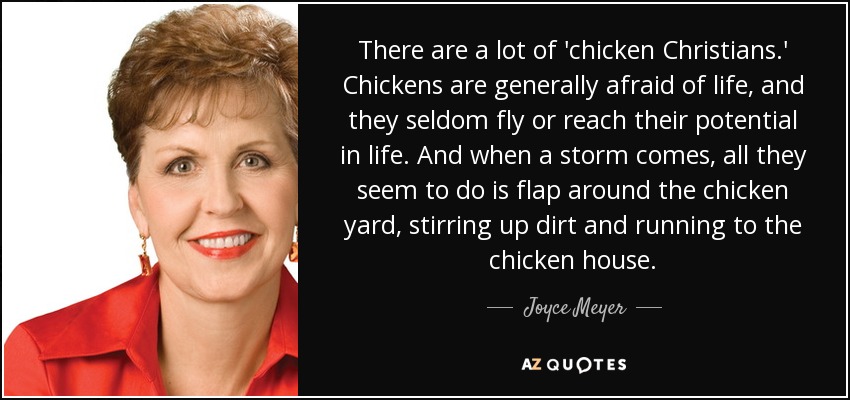 There are a lot of 'chicken Christians.' Chickens are generally afraid of life, and they seldom fly or reach their potential in life. And when a storm comes, all they seem to do is flap around the chicken yard, stirring up dirt and running to the chicken house. - Joyce Meyer