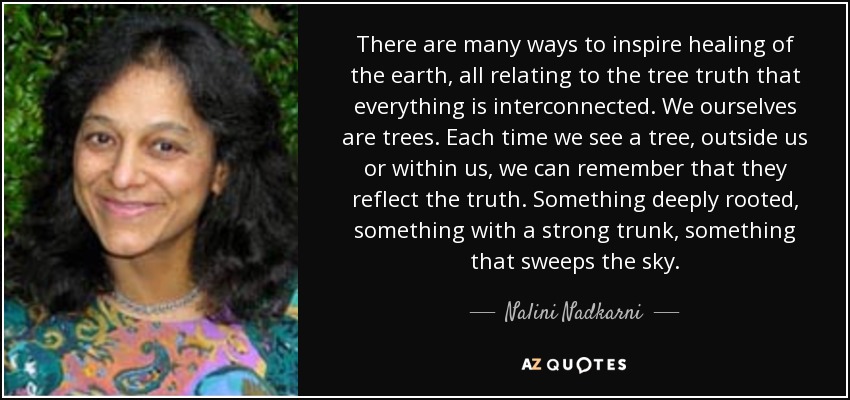 There are many ways to inspire healing of the earth, all relating to the tree truth that everything is interconnected. We ourselves are trees. Each time we see a tree, outside us or within us, we can remember that they reflect the truth. Something deeply rooted, something with a strong trunk, something that sweeps the sky. - Nalini Nadkarni