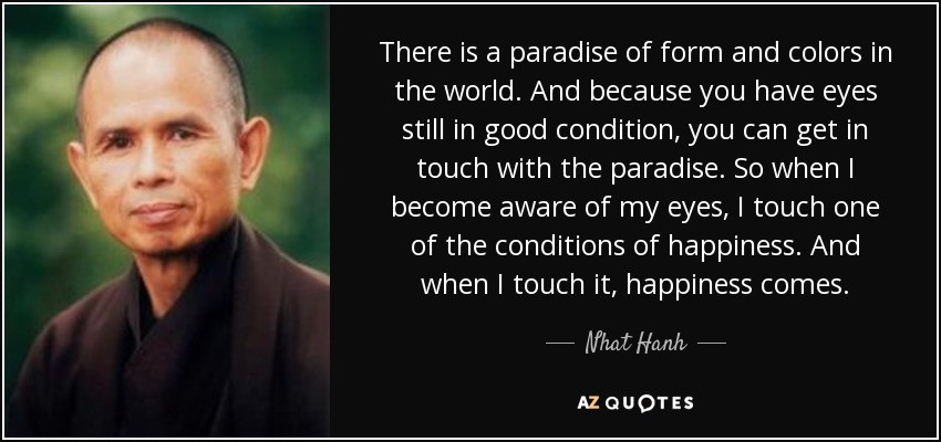 There is a paradise of form and colors in the world. And because you have eyes still in good condition, you can get in touch with the paradise. So when I become aware of my eyes, I touch one of the conditions of happiness. And when I touch it, happiness comes. - Nhat Hanh