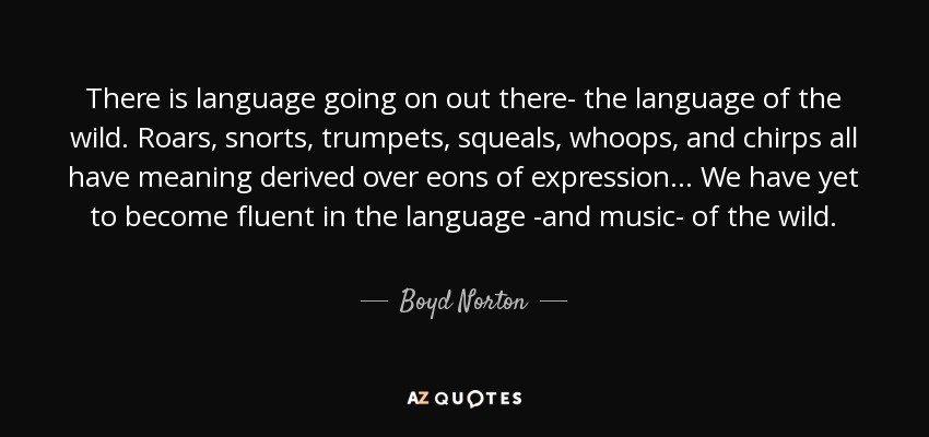 There is language going on out there- the language of the wild. Roars, snorts, trumpets, squeals, whoops, and chirps all have meaning derived over eons of expression... We have yet to become fluent in the language -and music- of the wild. - Boyd Norton