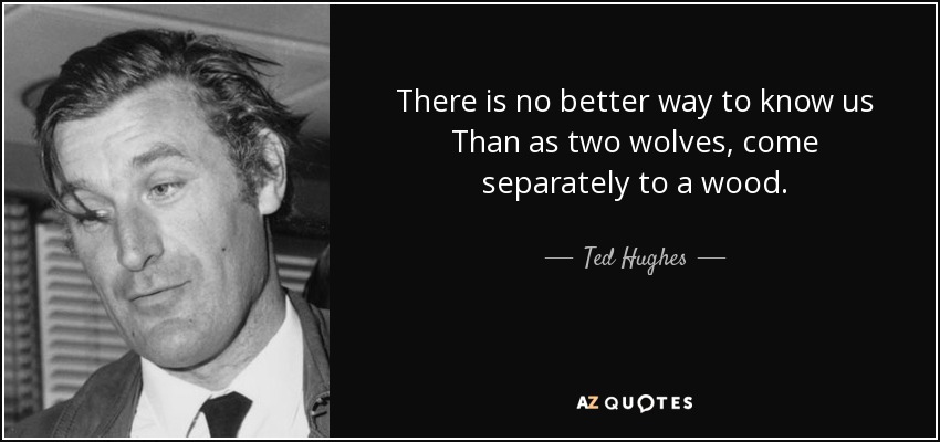 There is no better way to know us Than as two wolves, come separately to a wood. - Ted Hughes
