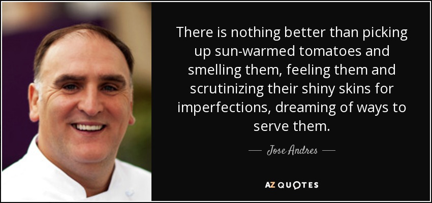 There is nothing better than picking up sun-warmed tomatoes and smelling them, feeling them and scrutinizing their shiny skins for imperfections, dreaming of ways to serve them. - Jose Andres