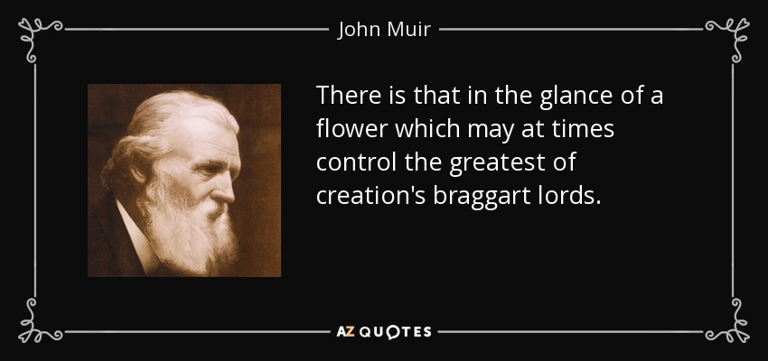 There is that in the glance of a flower which may at times control the greatest of creation's braggart lords. - John Muir