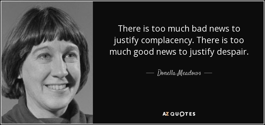 There is too much bad news to justify complacency. There is too much good news to justify despair. - Donella Meadows