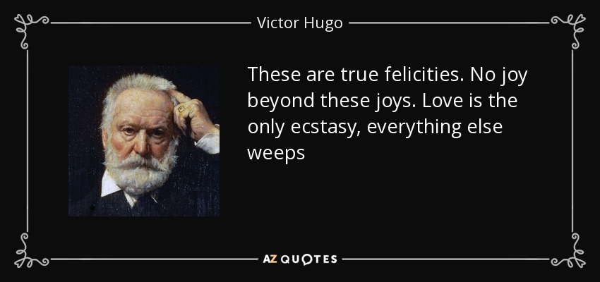 These are true felicities. No joy beyond these joys. Love is the only ecstasy, everything else weeps - Victor Hugo