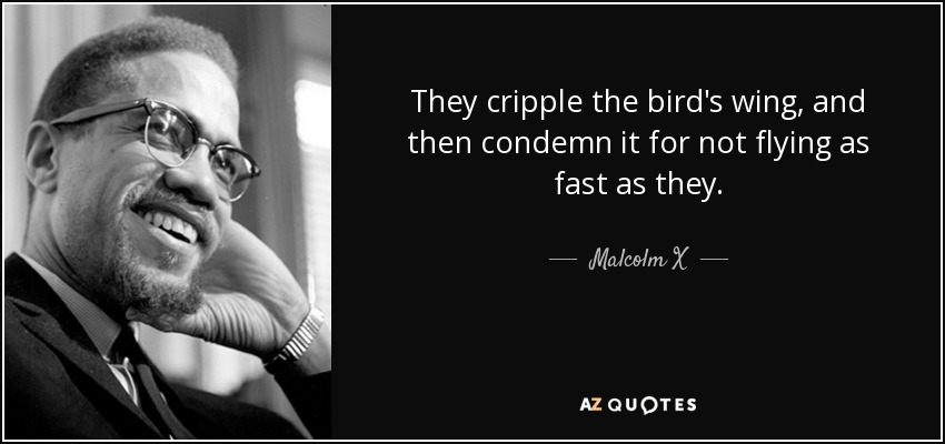 They cripple the bird's wing, and then condemn it for not flying as fast as they. - Malcolm X