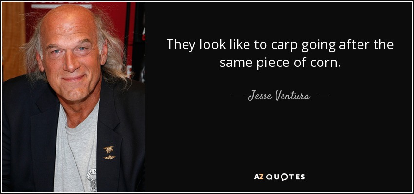 They look like to carp going after the same piece of corn. - Jesse Ventura