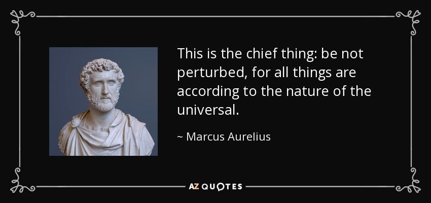 This is the chief thing: be not perturbed, for all things are according to the nature of the universal. - Marcus Aurelius