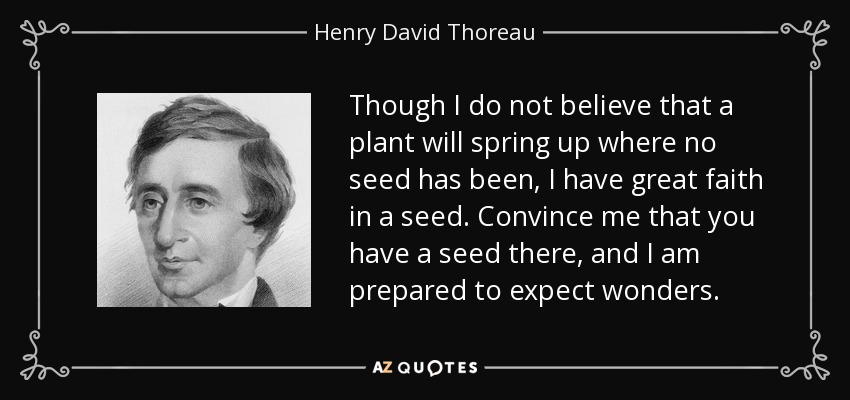 Though I do not believe that a plant will spring up where no seed has been, I have great faith in a seed. Convince me that you have a seed there, and I am prepared to expect wonders. - Henry David Thoreau