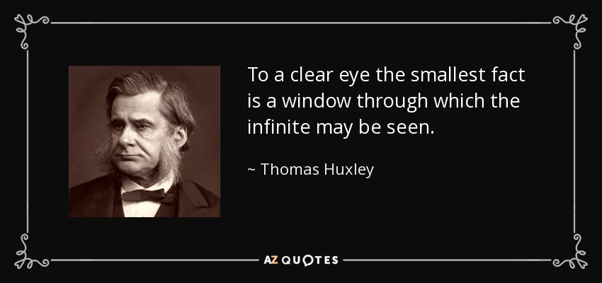 To a clear eye the smallest fact is a window through which the infinite may be seen. - Thomas Huxley