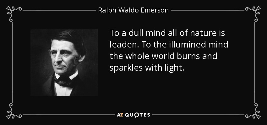 To a dull mind all of nature is leaden. To the illumined mind the whole world burns and sparkles with light. - Ralph Waldo Emerson