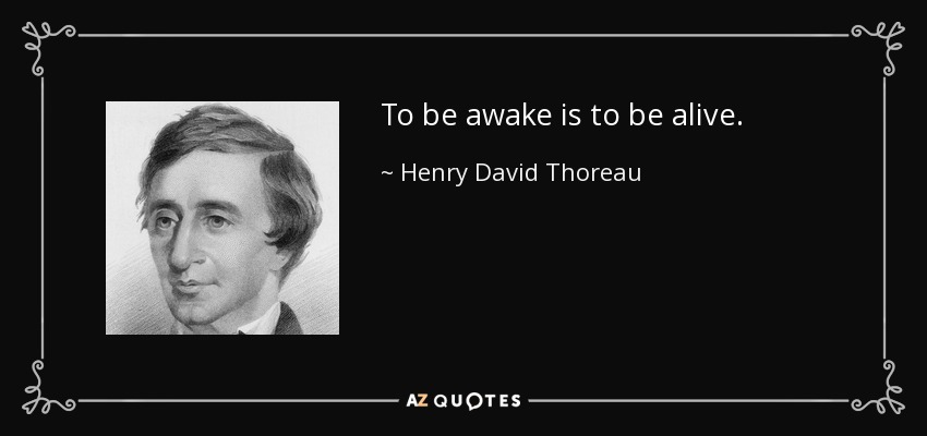 To be awake is to be alive. - Henry David Thoreau