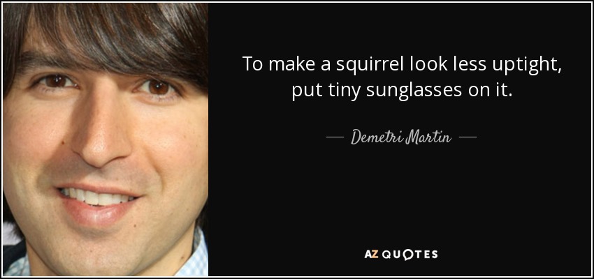 To make a squirrel look less uptight, put tiny sunglasses on it. - Demetri Martin