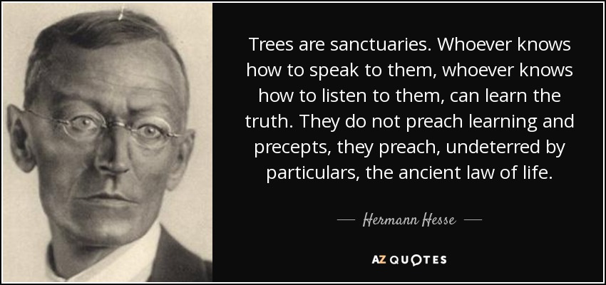 Trees are sanctuaries. Whoever knows how to speak to them, whoever knows how to listen to them, can learn the truth. They do not preach learning and precepts, they preach, undeterred by particulars, the ancient law of life. - Hermann Hesse