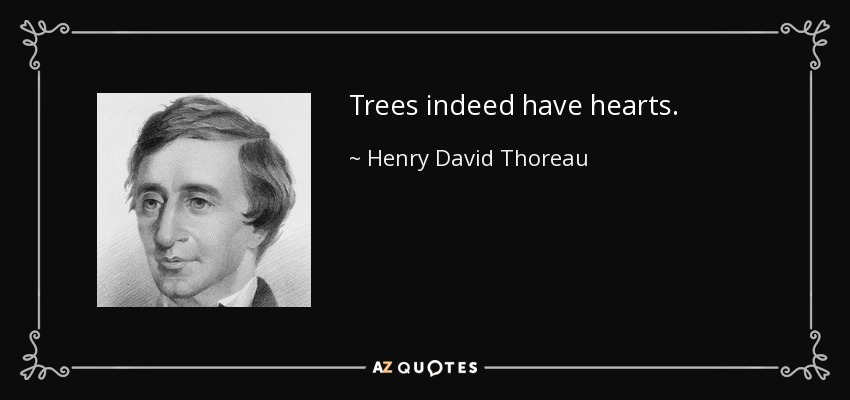 Trees indeed have hearts. - Henry David Thoreau