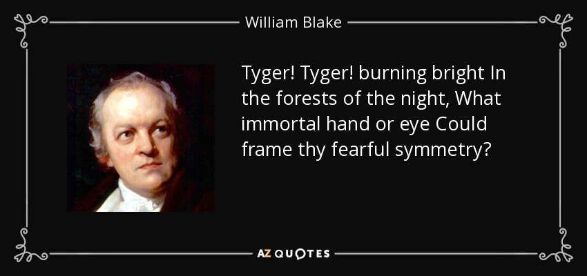 Tyger! Tyger! burning bright In the forests of the night, What immortal hand or eye Could frame thy fearful symmetry? - William Blake