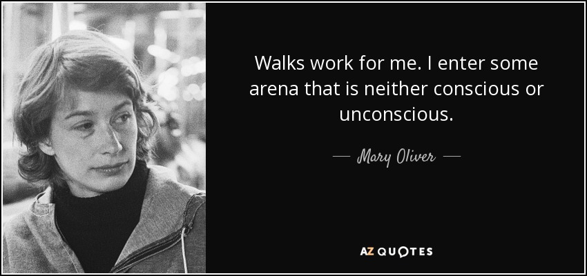 Walks work for me. I enter some arena that is neither conscious or unconscious. - Mary Oliver