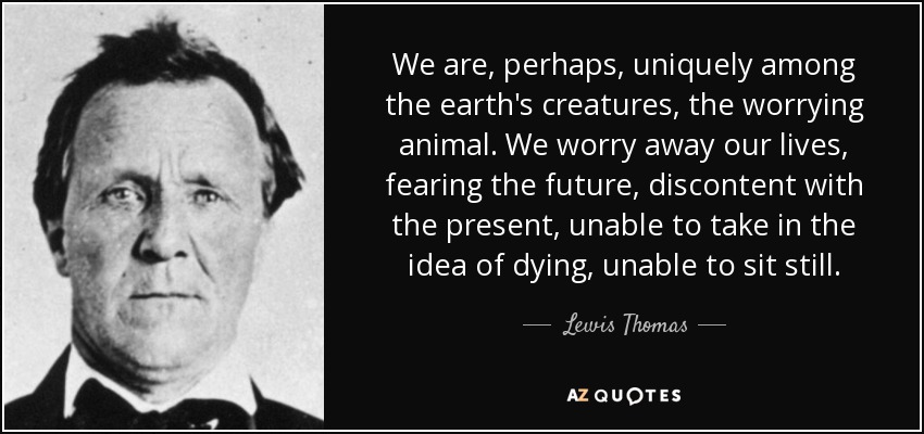 We are, perhaps, uniquely among the earth's creatures, the worrying animal. We worry away our lives, fearing the future, discontent with the present, unable to take in the idea of dying, unable to sit still. - Lewis Thomas