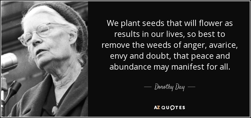 We plant seeds that will flower as results in our lives, so best to remove the weeds of anger, avarice, envy and doubt, that peace and abundance may manifest for all. - Dorothy Day