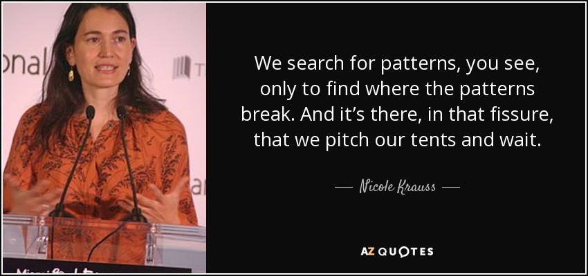 We search for patterns, you see, only to find where the patterns break. And it’s there, in that fissure, that we pitch our tents and wait. - Nicole Krauss