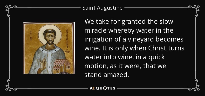 We take for granted the slow miracle whereby water in the irrigation of a vineyard becomes wine. It is only when Christ turns water into wine, in a quick motion, as it were, that we stand amazed. - Saint Augustine