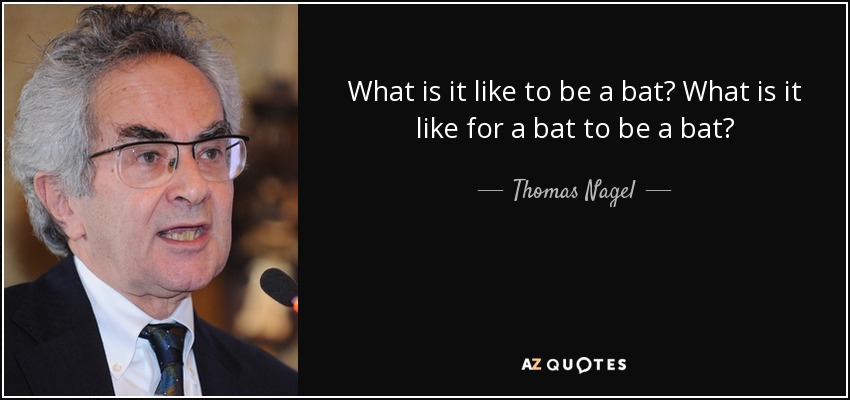 What is it like to be a bat? What is it like for a bat to be a bat? - Thomas Nagel
