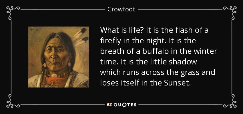 What is life? It is the flash of a firefly in the night. It is the breath of a buffalo in the winter time. It is the little shadow which runs across the grass and loses itself in the Sunset. - Crowfoot