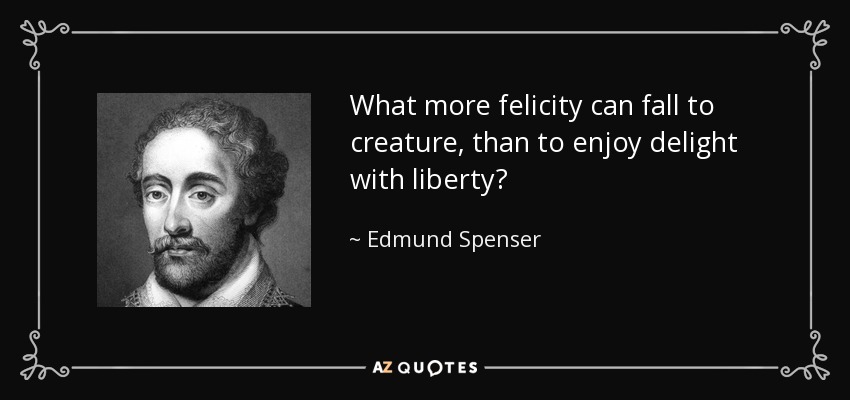 What more felicity can fall to creature, than to enjoy delight with liberty? - Edmund Spenser
