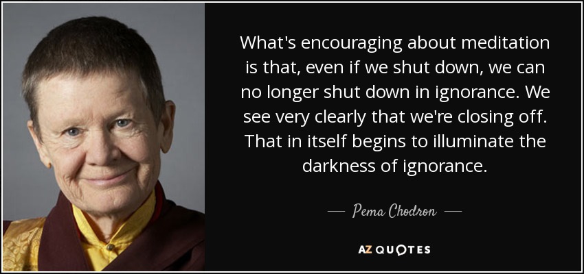 What's encouraging about meditation is that, even if we shut down, we can no longer shut down in ignorance. We see very clearly that we're closing off. That in itself begins to illuminate the darkness of ignorance. - Pema Chodron