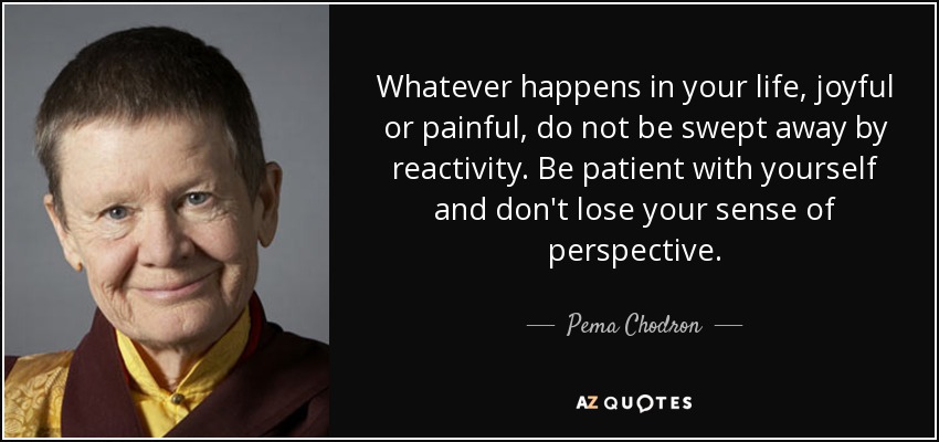 Whatever happens in your life, joyful or painful, do not be swept away by reactivity. Be patient with yourself and don't lose your sense of perspective. - Pema Chodron