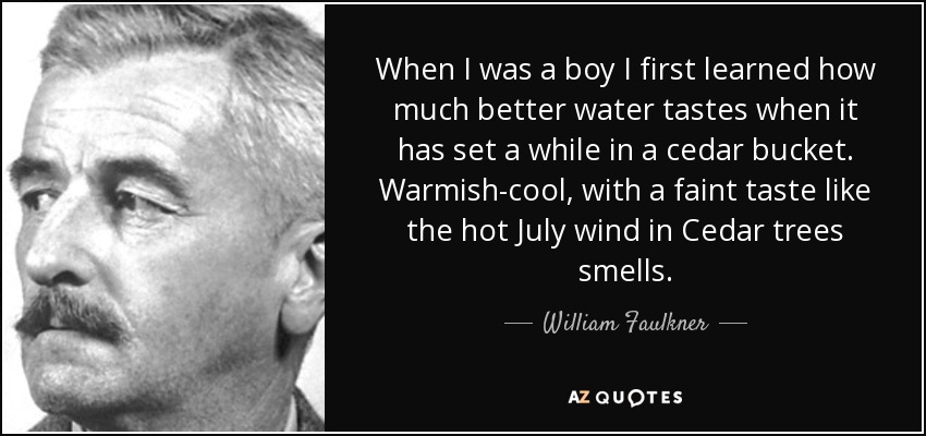 When I was a boy I first learned how much better water tastes when it has set a while in a cedar bucket. Warmish-cool, with a faint taste like the hot July wind in Cedar trees smells. - William Faulkner