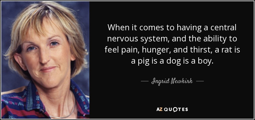 Cuando se trata de tener un sistema nervioso central y la capacidad de sentir dolor, hambre y sed, una rata es un cerdo es un perro es un niño. - Ingrid Newkirk