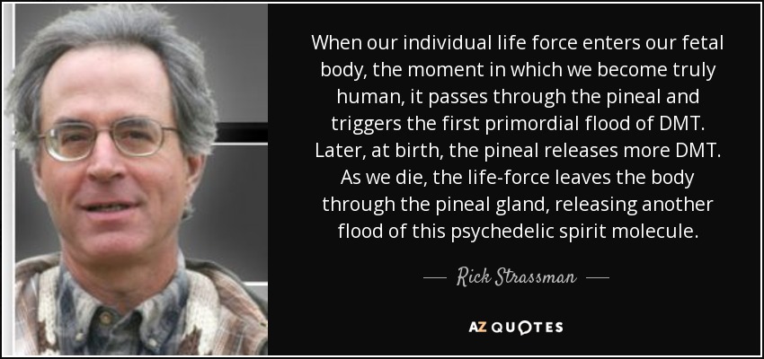 When our individual life force enters our fetal body, the moment in which we become truly human, it passes through the pineal and triggers the first primordial flood of DMT. Later, at birth, the pineal releases more DMT. As we die, the life-force leaves the body through the pineal gland, releasing another flood of this psychedelic spirit molecule. - Rick Strassman