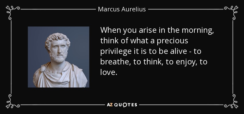Cuando te levantes por la mañana, piensa en el precioso privilegio que es estar vivo: respirar, pensar, disfrutar, amar. - Marcus Aurelius