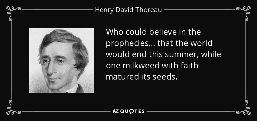 Who could believe in the prophecies ... that the world would end this summer, while one milkweed with faith matured its seeds. - Henry David Thoreau