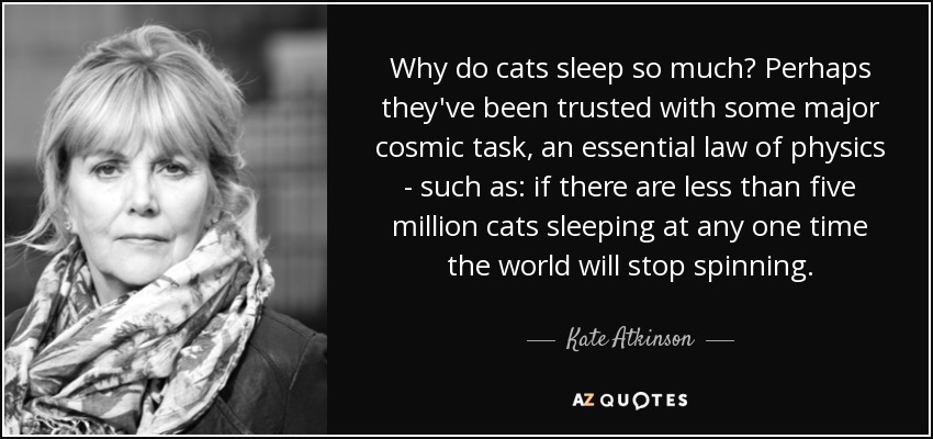 Why do cats sleep so much? Perhaps they've been trusted with some major cosmic task, an essential law of physics - such as: if there are less than five million cats sleeping at any one time the world will stop spinning. - Kate Atkinson