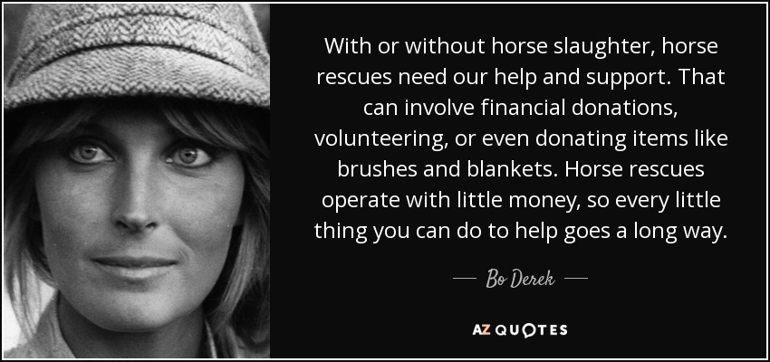 With or without horse slaughter, horse rescues need our help and support. That can involve financial donations, volunteering, or even donating items like brushes and blankets. Horse rescues operate with little money, so every little thing you can do to help goes a long way. - Bo Derek