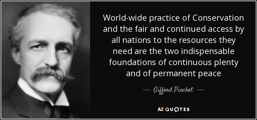 World-wide practice of Conservation and the fair and continued access by all nations to the resources they need are the two indispensable foundations of continuous plenty and of permanent peace - Gifford Pinchot